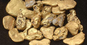 Musgrave Minerals (ASX:MGV) hits bonanza gold grades, shares rise over 10%