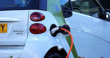 EarlyBirds’ innovation maps enable faster adoption of green technologies