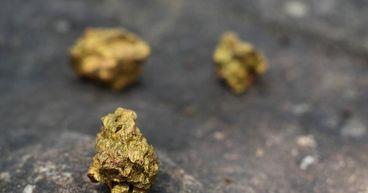 Gold Momentum Puts Northern Star Back in Market Focus