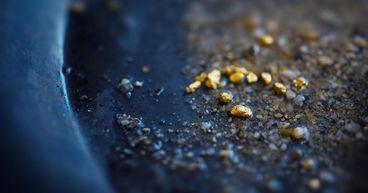 Marvel Gold Draws Market Attention After Insider Activity