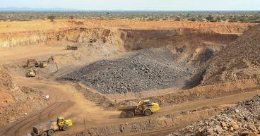 Northern Star Rallies as Gold Gains Momentum