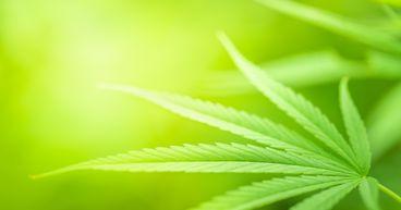  Living Cells Tech Files Patent for Cannabis-Based Dementia Drug 