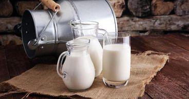 A2 Milk Company (ASX:A2M) Surges in ASX200: What’s Driving the Momentum?