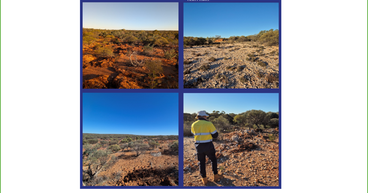 Platina Resources’ (ASX:PGM) September Quarter: Strategic Acquisitions and Exploration Progress