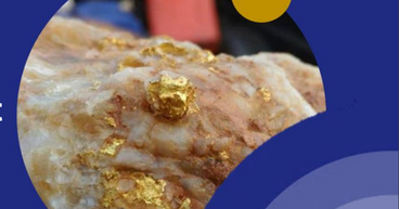 Platina Resources (ASX: PGM) advancing ‘extensive gold portfolio’ in Western Australia