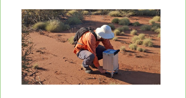 Platina Resources (ASX:PGM) Identifies Five Key Gold Targets at Mt McKenna Project