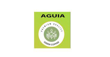 Aguia (ASX:AGR) secures Brazilian govt grant for green copper project