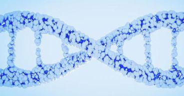 Prescient Therapeutics (ASX:PTX) lands additional FDA Orphan Drug status for PTX-100, shares soar