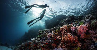 Preparing for your dive in Sydney? Here’s what you need to know