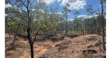 Ark Mines (ASX: AHK) confirms high-grade rare earths in pan concentrate samples of Sandy Mitchell