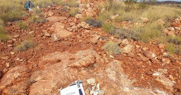 Raiden Resources (ASX:RDN) Andover South Project: Tenement Grant and PoW Submission Boost Share Price
