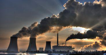 WHC to YAL: How these ASX coal stocks fared YTD