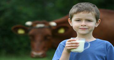 A look at Fonterra's (ASX:FSF) FY22 report card