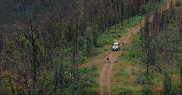 First Au (ASX:FAU) makes strides at high-potential Victorian projects
