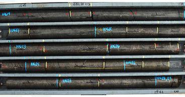  Raiden (ASX:RDN) continues to welcome high-grade Ni-Cu-PGE drill intercepts from Mt Sholl 
