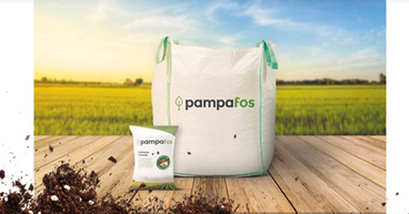 Aguia’s (ASX:AGR) Pampafos® exceeds chemical fertiliser productivity in wheat