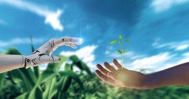  EarlyBirds’ role in adoption of AI-powered innovation in businesses 
