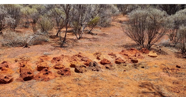 Empire Resources (ASX:ERL) receives ‘excellent’ final drill assays from Penny’s gold project