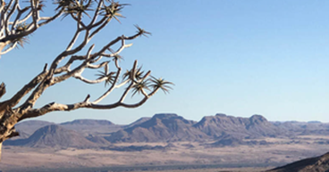 Arcadia Minerals (ASX: AM7, FRA: 8OH) latest quarter sees progress across Swanson and Bitterwasser lithium projects