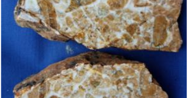 QX Resources (ASX: QXR) sets sights on high-grade gold in Queensland projects