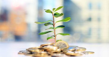5 Small-Caps Stocks Seen In Green – GRV, BD1, QFY, IXU and ARM
