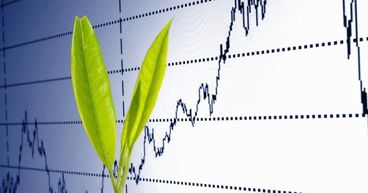 Your One Stop Guide to Investing in Small Cap Stocks