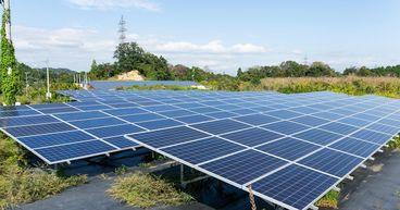 Why Is This Solar Leader Facing a Complex Market Outlook?