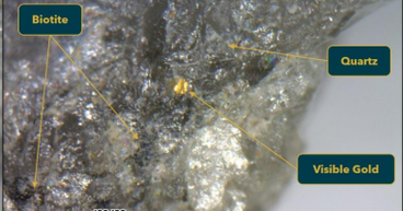  Viking Mines (ASX:VKA) Unveils High-Grade Visible Gold at Riverina East Project 