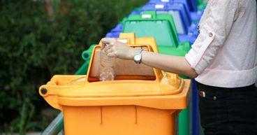 Why Was Waste Connections (TSX:WCN) In Focus On The S&P/TSX 60 And Composite Indexes?