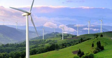 What Role Do Renewable Energy Investments Play In Brookfield’s Strategy?