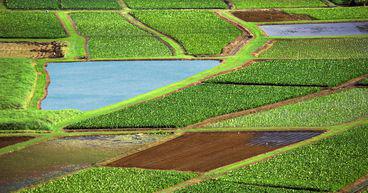 PGW, LIC, SCL, NZL: Stocks in focus as NZ plans agri emissions pricing