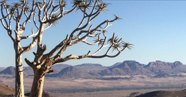 Arcadia (ASX: AM7, FRA: 8OH) seeks to raise AU$1.5M to fuel Bitterwasser lithium brine project