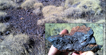 Black Canyon (ASX:BCA) uncovers multiple manganese targets at Fig Tree Project