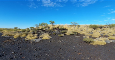 Black Canyon (ASX: BCA) eyes high-grade manganese at promising Wandanya target