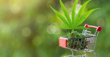 Little Green Pharma (ASX:LGP) obtains marketing authorization for Desert Flame product in Poland