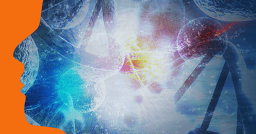 Chimeric Therapeutics (ASX: CHM) shares soar 31% on latest ‘success’ with CHM 1301