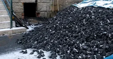APF, BEN, BISI: Coal stocks to check out right now
