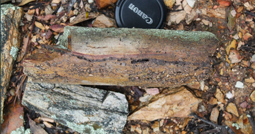 Catalina Resources (ASX: CTN) gears up for deeper diamond drilling at Rock Lodge Project