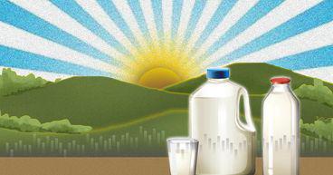 ATM, FCG, SML: How are these dairy stocks faring on NZX?