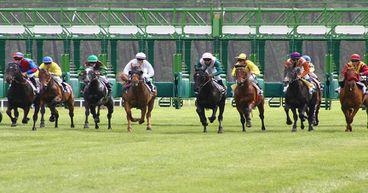 BetMakers (ASX:BET) inks deal with Punting Form
