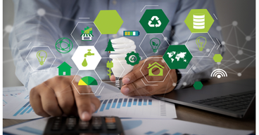 How EarlyBirds is Transforming Industries with Scalable Green Solutions