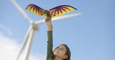 EarlyBirds Supporting Businesses with Sustainable Tech Innovations