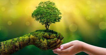 Green energy stocks in news after Sovereign Green Bond Programme launch