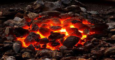  ASX-listed coal player up 368% in a year, beating the benchmark by wide margin 