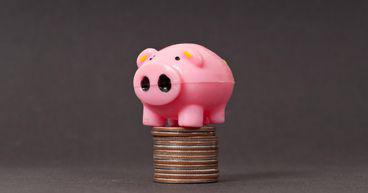 Why are PolyNovo’s (ASX:PNV) shares under trading halt today?