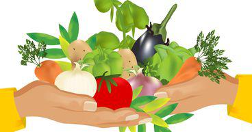 Kiwis still grappling with high food prices: Stats NZ