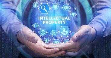 Seeing Machines Update Signals Shift in Growth Path