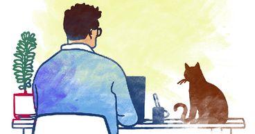 Why Citation Machine Is a Must-Have for Academic Writing