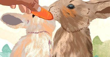 Top 10 Rabbit-Safe Foods You Already Have at Home