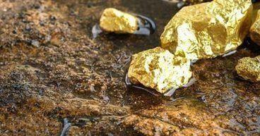 King River Resources (ASX: KRR) advances at Tennant Creek with promising gold values